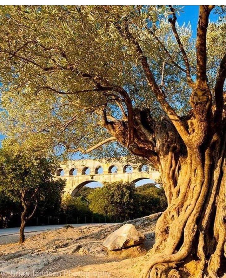 Suite Spa Acces Autonome Beaucaire  Dış mekan fotoğraf