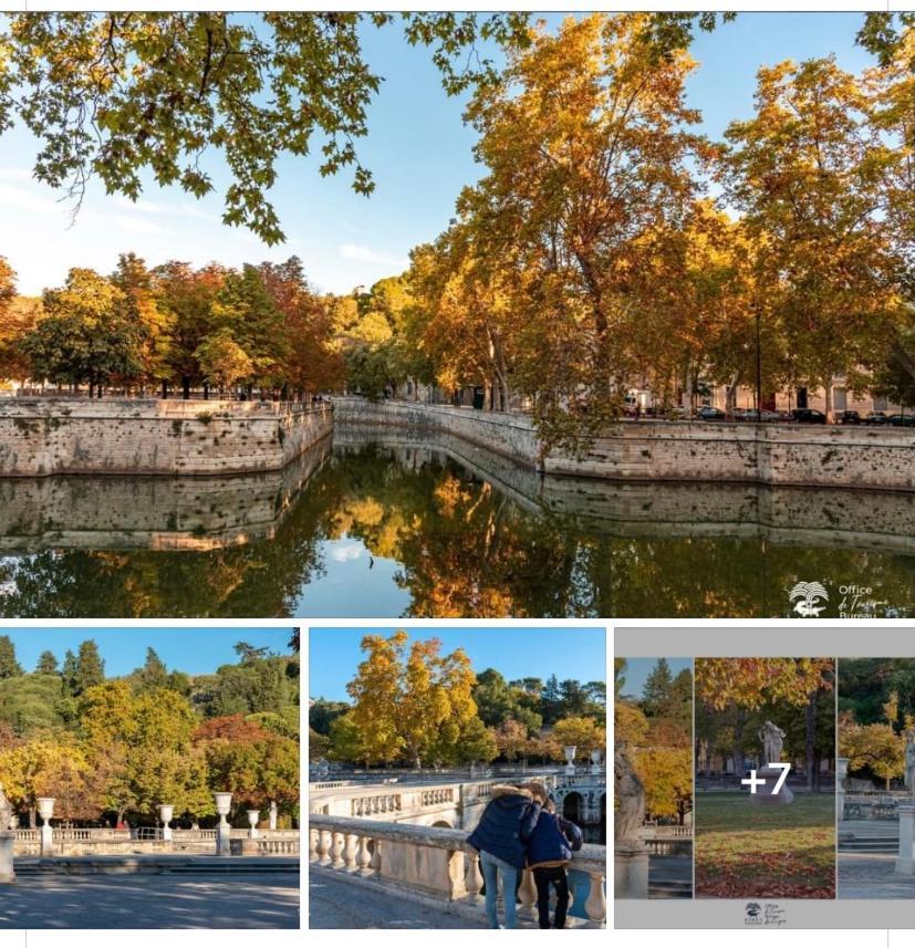 Suite Spa Acces Autonome Beaucaire  Dış mekan fotoğraf